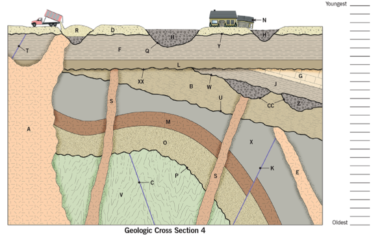 Solved Figure A8.2.2 Youngest D А H E R M B Oldest Geologic | Chegg.com