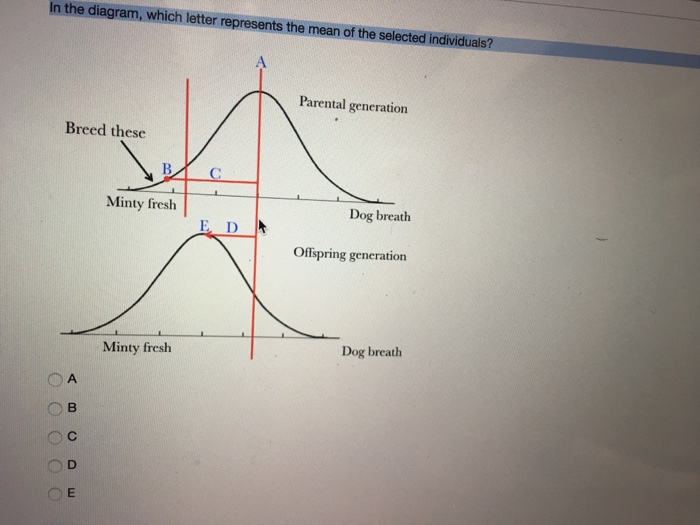 solved-in-the-diagram-which-letter-represents-the-mean-of-chegg