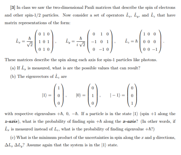 Solved [3] In class we saw the two-dimensional Pauli | Chegg.com