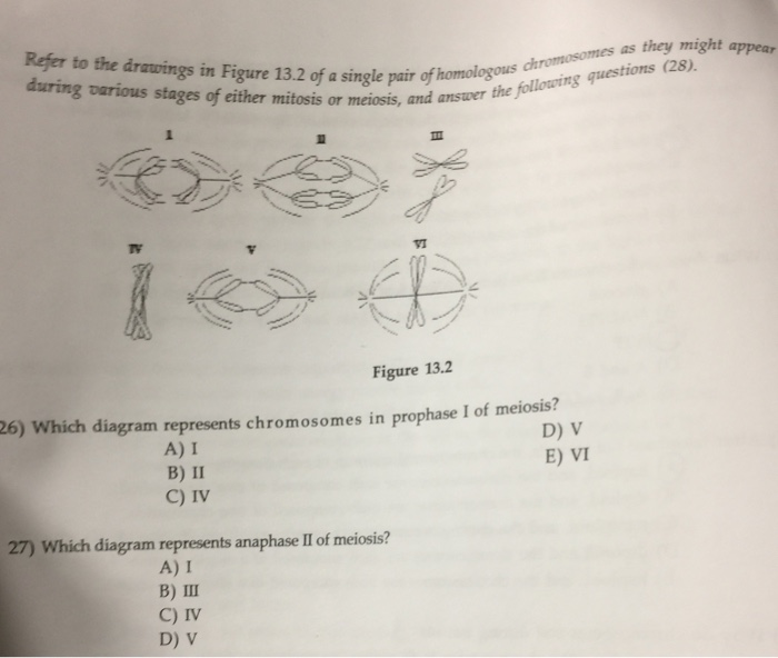 Solved Refer to the drawing in Figure 13.2 of a single pair | Chegg.com