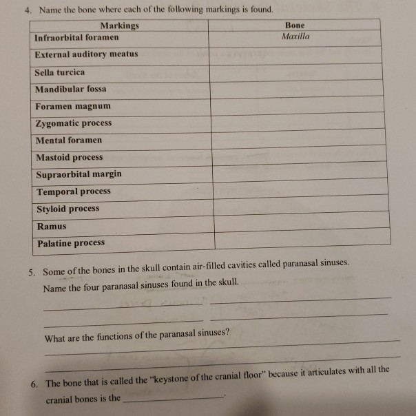 Solved 4. Name the bone where each of the following markings | Chegg.com