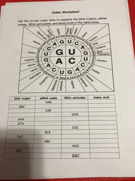  Codon Chart Worksheet Free Download Qstion co