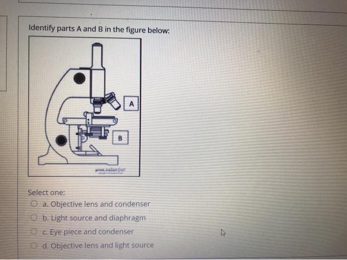 Solved Identify Parts A And B In The Figure Below: A B | Chegg.com