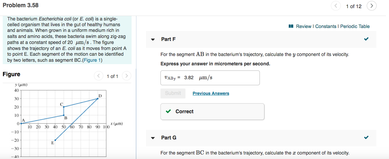 Solved Part F For the segment AB in the bacterium's