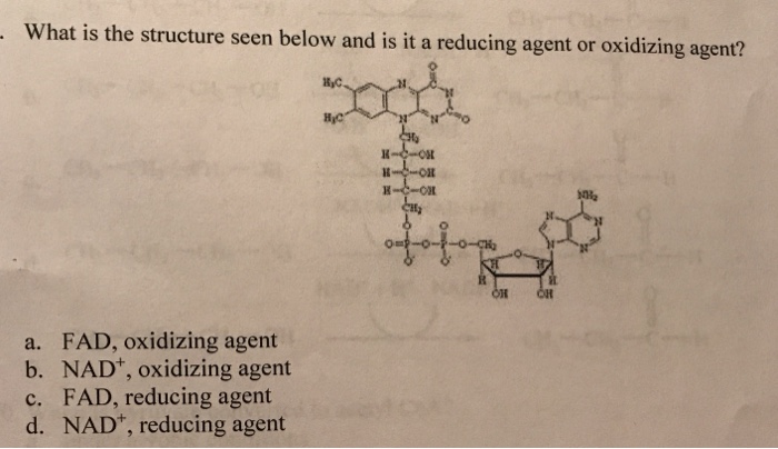 Solved What is the structure seen below and is it a reducing | Chegg.com