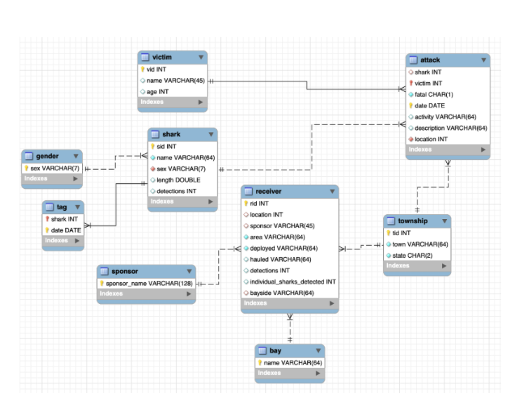 Solved The Database Contains Nine Tables: Shark, Tag, 