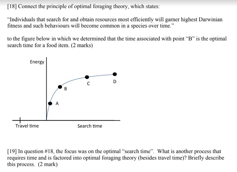 Solved [18] Connect the principle of optimal foraging | Chegg.com