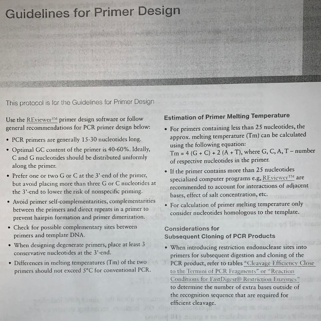 Solved Primer Design Exercise In bacteria of the genus