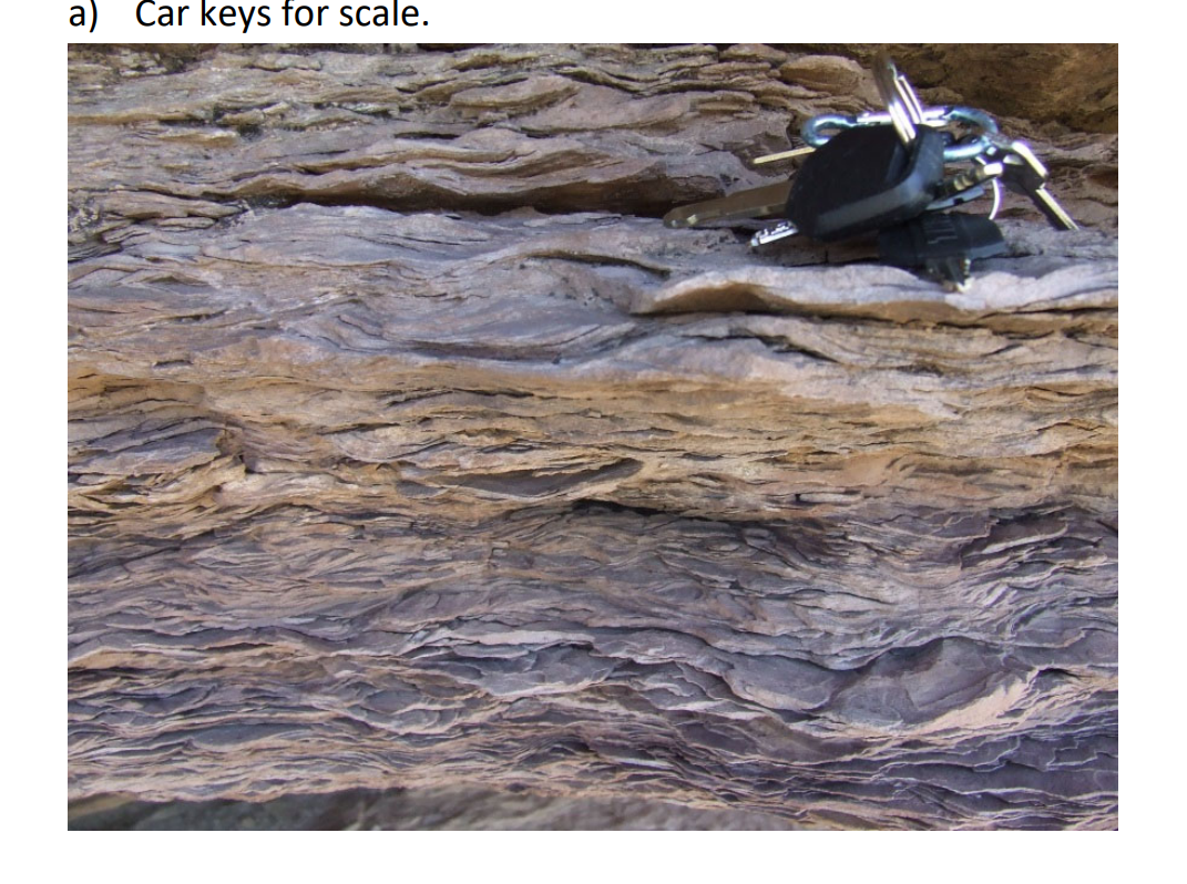 Solved DESCRIBE AND INTERPRET THE STRATA (20 POINTS) | Chegg.com