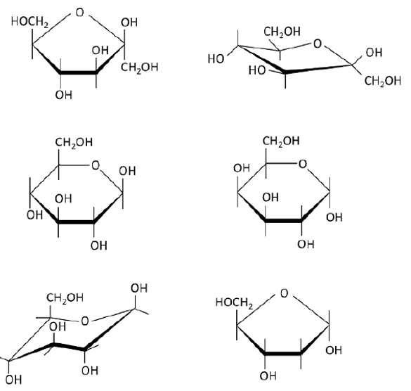 Solved Write the name of the following carbohydrates | Chegg.com