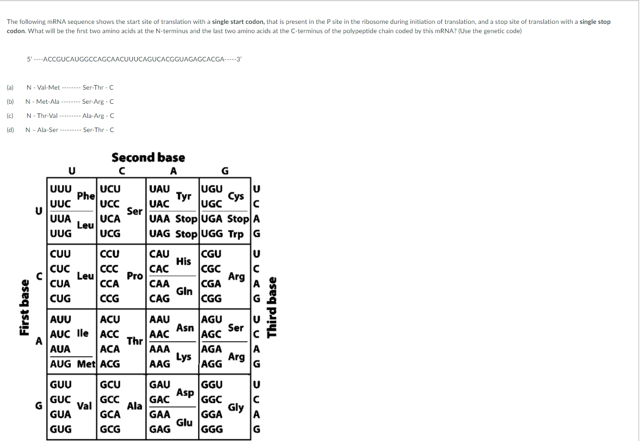 Solved The following mRNA sequence shows the start site of | Chegg.com