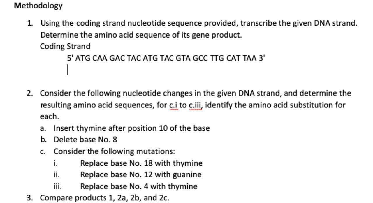 Solved Methodology 1. Using the coding strand nucleotide | Chegg.com