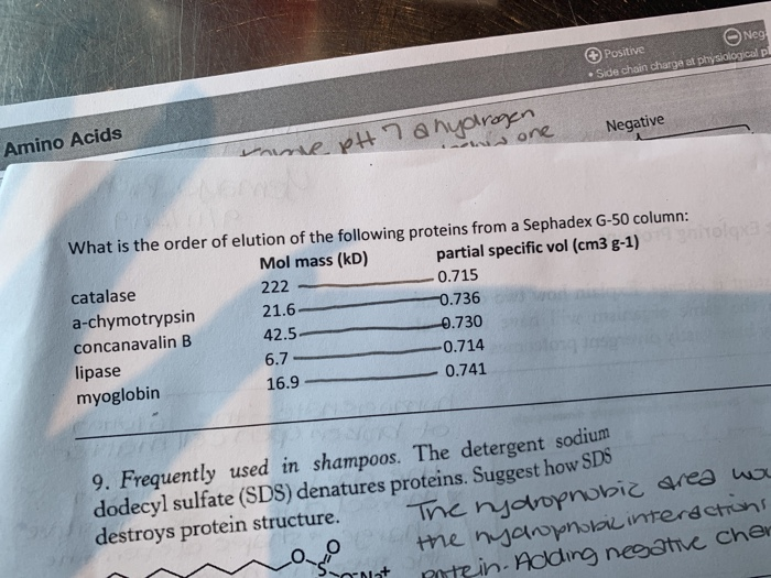 Solved What Is The Order Of Elution Of The Following Prot Chegg Com