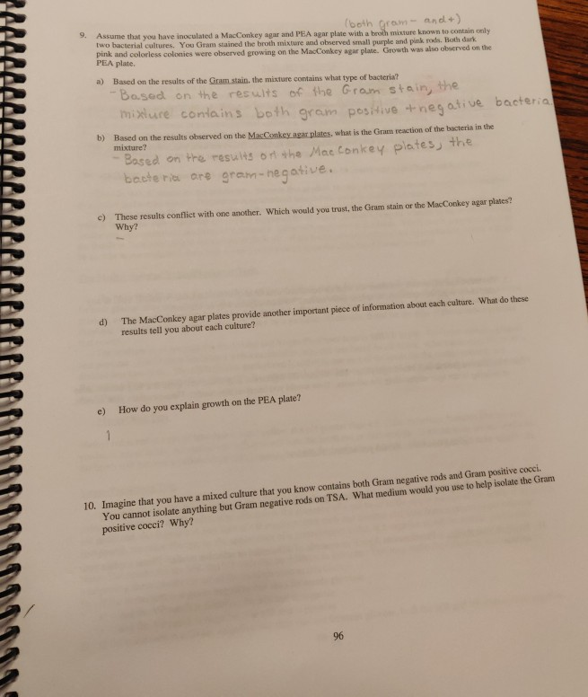 Solved 9. (both gram- and+). Assume that you have inoculated | Chegg.com