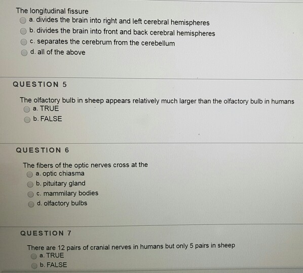 solved-the-longitudinal-fissure-a-divides-the-brain-into-chegg