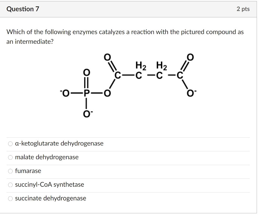 Solved Question 7 2 pts Which of the following enzymes