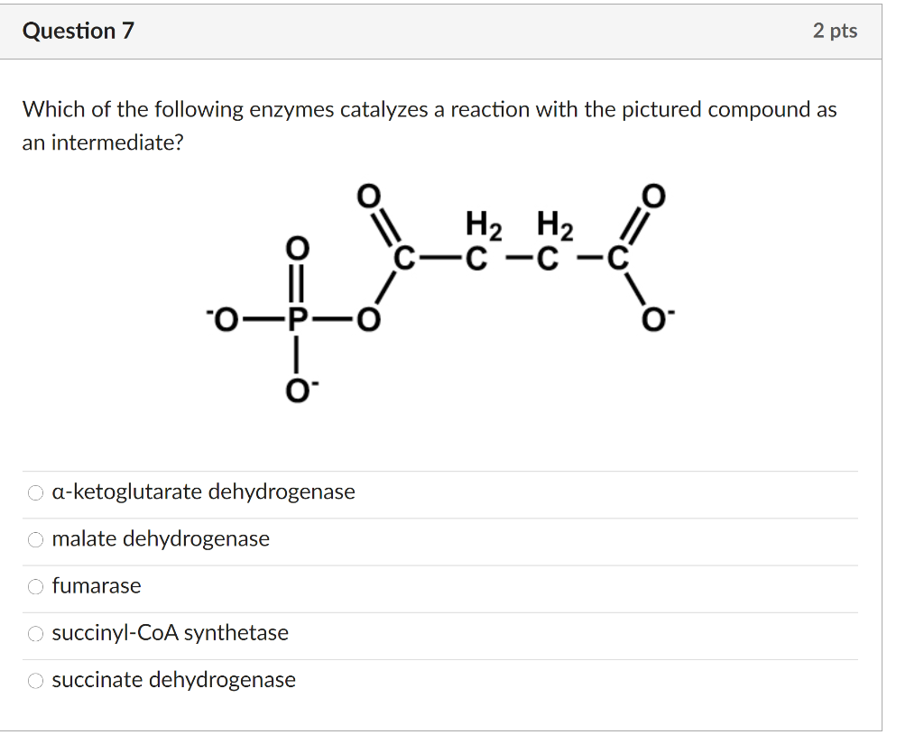 Solved Question 7 2 Pts Which Of The Following Enzymes | Chegg.com