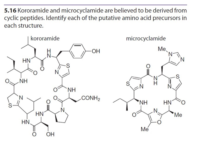 Solved 5.16 Kororamide and microcyclamide are believed to be | Chegg.com