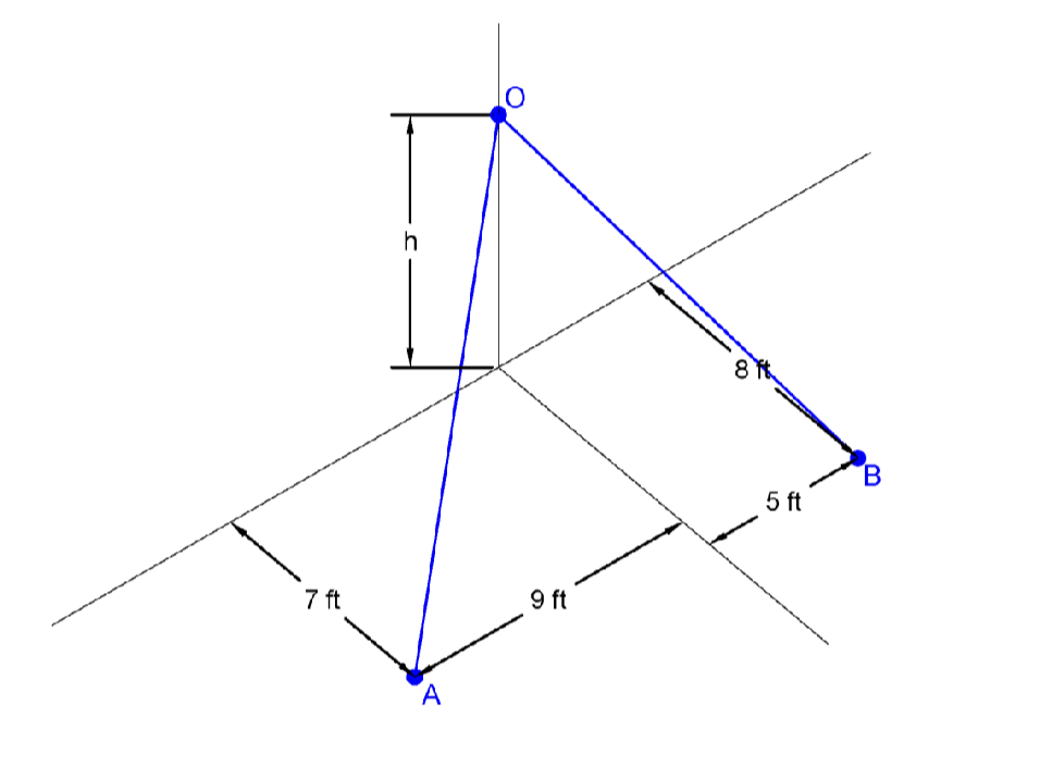 Solved A standard adult volleyball net has a height of 7