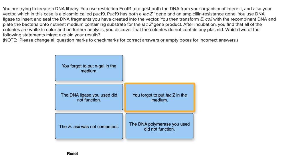 Solved You are trying to create DNA library. You use | Chegg.com
