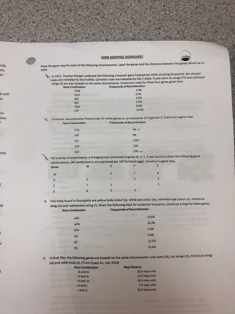 Solved A Determine The Genetic Map For These Genes Showing Chegg Com