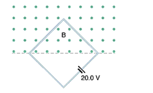 Solved A square wire loop with 2.50 m sides is perpendicular | Chegg.com