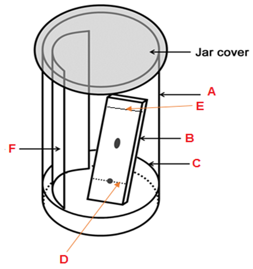 Solved The diagram below shows the set up for TLC. Study the