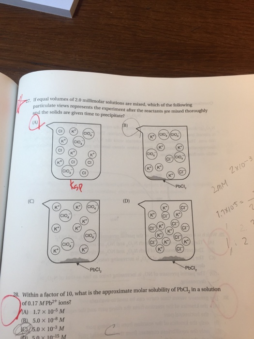 Solved 4 2 A chemist mixes a dilute solution of lead