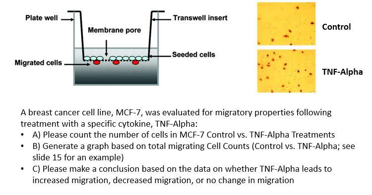 Solved Plate well Transwell insert Control Membrane pore | Chegg.com