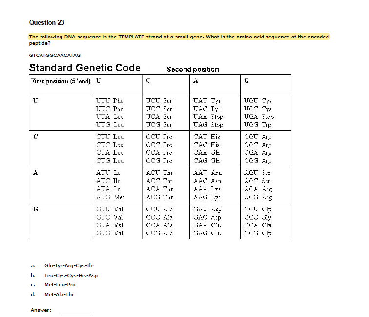 Solved Question 23 The following DNA sequence is the | Chegg.com