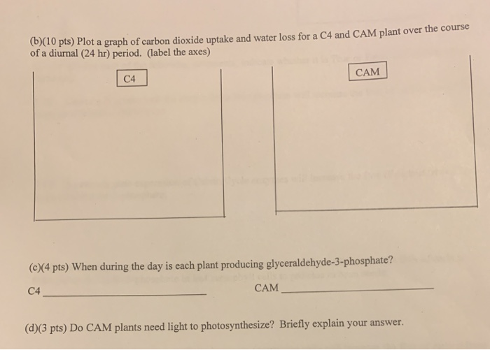 Solved (b 10 pts) Plot a graph of carbon dioxide uptake and | Chegg.com