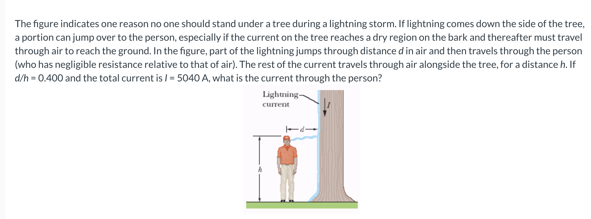 The figure indicates one reason no one should stand under a tree during a lightning storm. If lightning comes down the side o