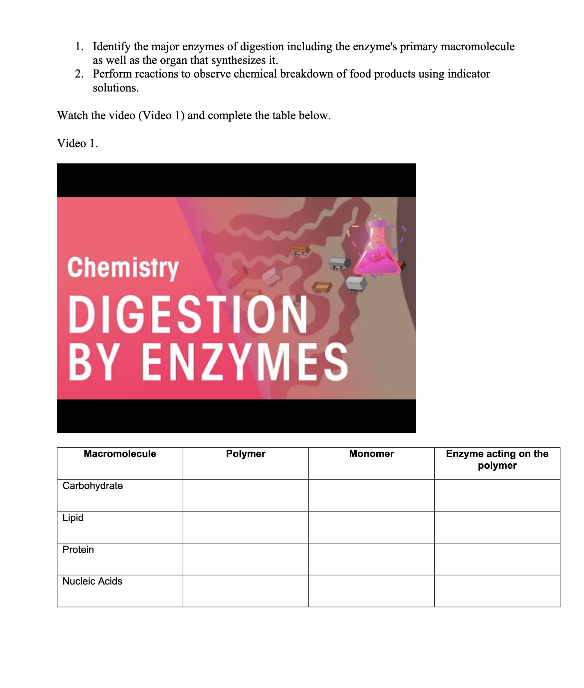 Solved Identify the major enzymes of digestion including the | Chegg.com