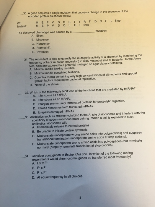 single gene mutation essay