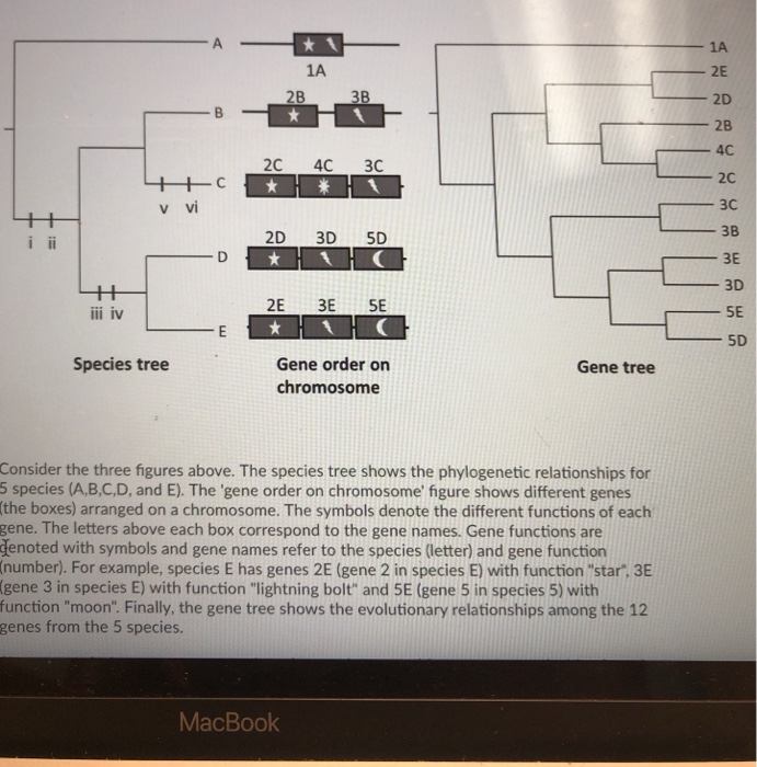 Solved 1A ー2E 2D 2B 4C 2C 3C 3B 1A 2C 4C 3C v vi 2D 3D 5D 3E | Chegg.com