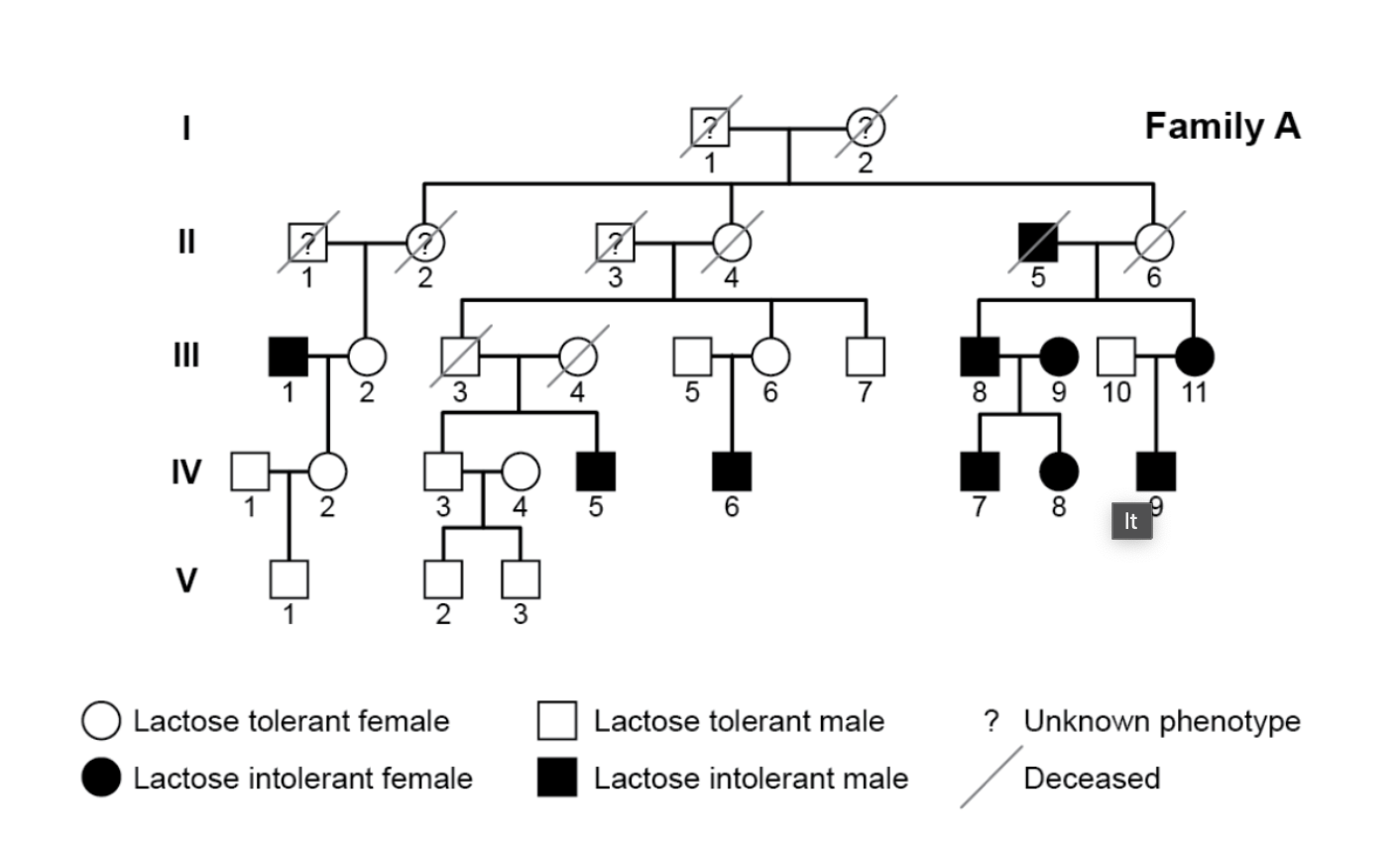 Solved Based on the pedigree above, which of the following