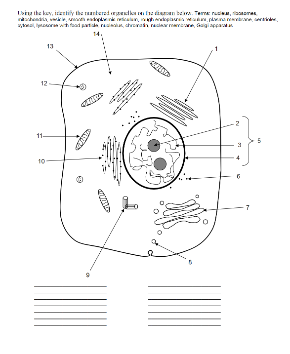 Solved L n es, | Chegg.com