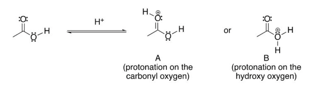 Solved 1) Draw all resonance structures of conjugate acid | Chegg.com