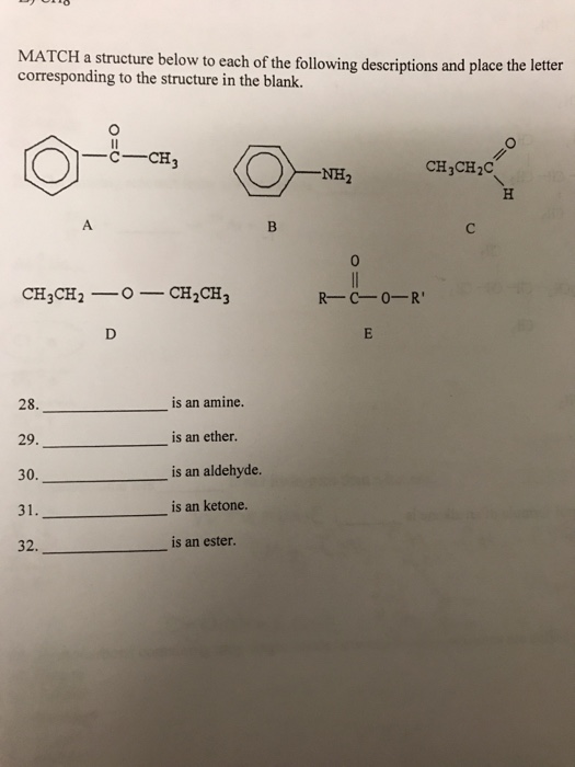 Solved MATCH a structure below to each of the following | Chegg.com