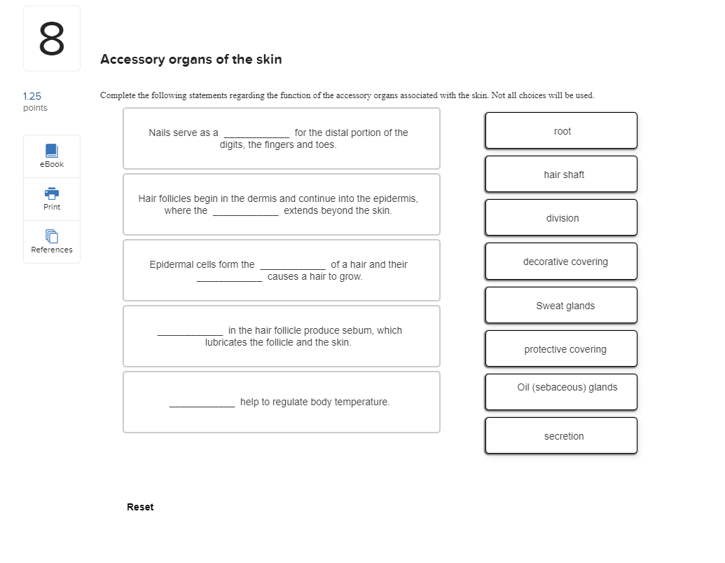 Solved 8 Accessory organs of the skin Complete the following