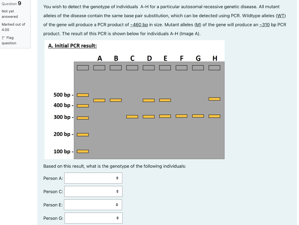 Solved Question 9 Not yet answered You wish to detect the