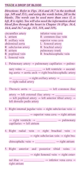 Solved TPACE A DAOP OF BLOOD Directions: Refer to Figs. 18.6 | Chegg.com