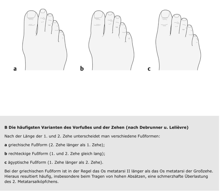 Ägyptische fußform