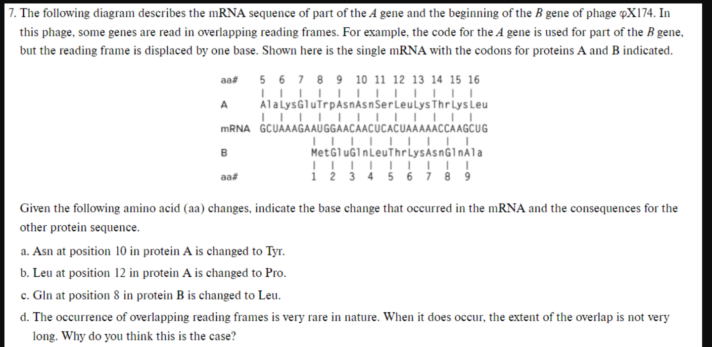 Solved aa# 7. The following diagram describes the mRNA | Chegg.com