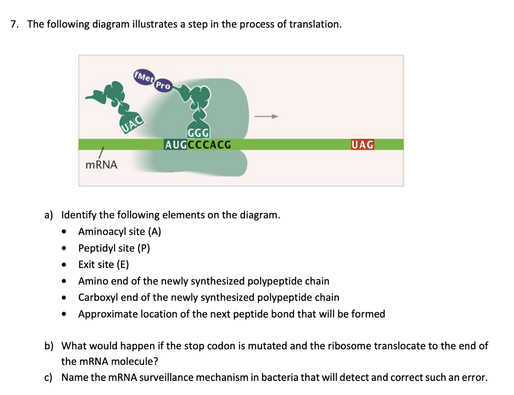 Solved 7. The following diagram illustrates a step in the