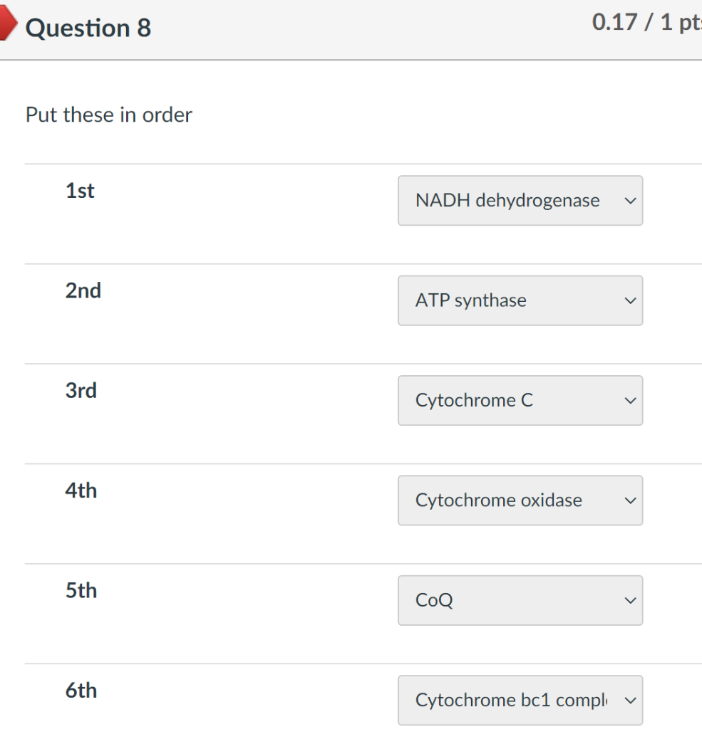Solved Put these in order | Chegg.com