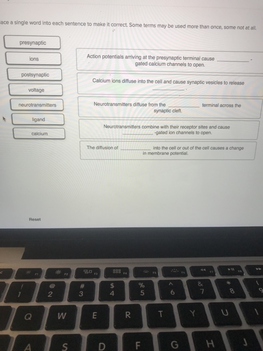 Solved Ace A Single Word Into Each Sentence To Make It Chegg