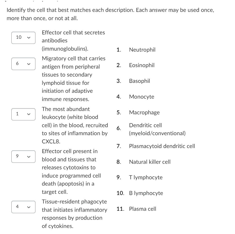 Solved Identify The Cell That Best Matches Each Description. | Chegg.com