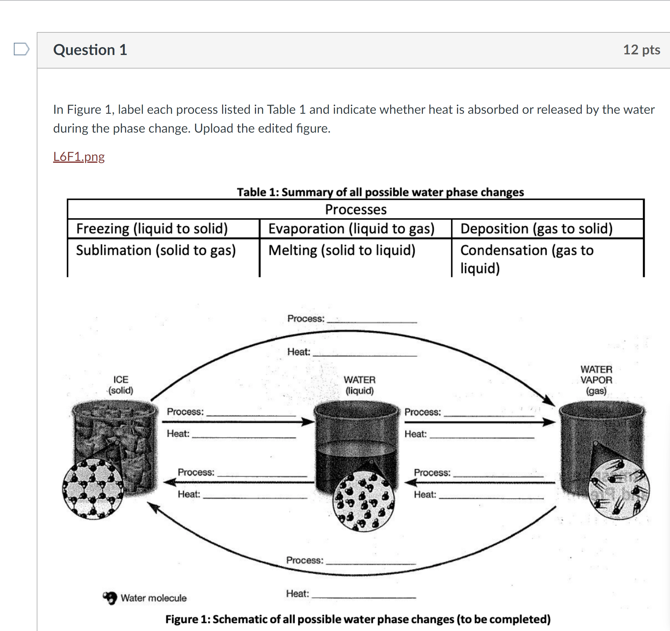 Solved In Figure 1, Label Each Process Listed In Table 1 And | Chegg.com