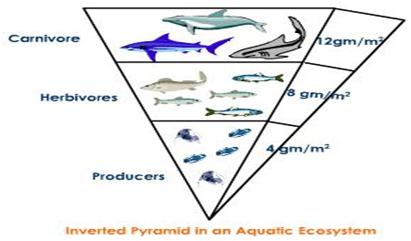 Briefly describe the process of evolution by natural | Chegg.com